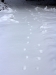 Spuren im Schnee