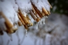 Winter im Harz