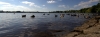 Blick über die Alster