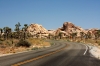 Im Joshua-Tree-Nationalpark in den USA