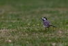 20200702-IMG_7495