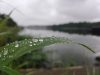 Ein regentag tut gut