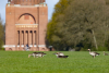 Blick über die Stadtparkwiese mit Gänsen, im Hintergrund das Planetarium