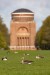 Gänse auf der Stadparkwiese