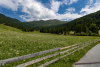 Blick über eine Sommerwiese auf einen Berg