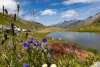 Blick über einen See mit Blumen im Vordergrund