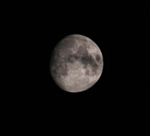 mond4